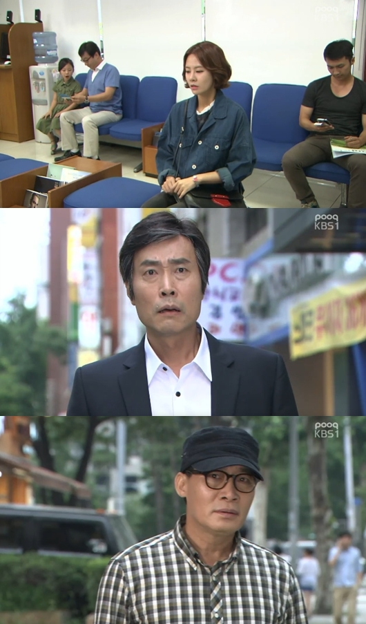 /사진=KBS 1TV '고양이는 있다' 방송화면