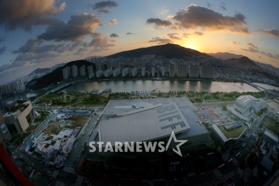 사진