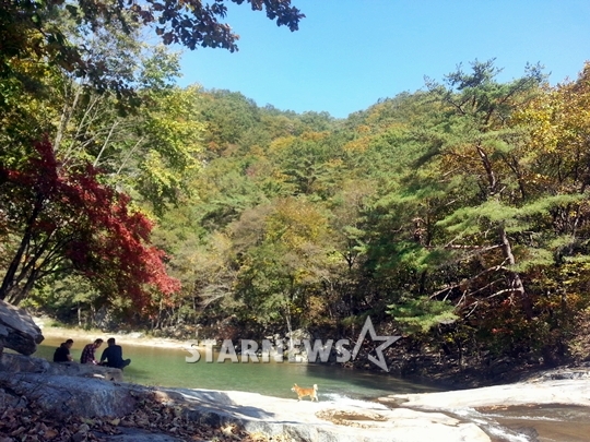 개암벌 용소관광농원에서 바라본 계곡 전경.