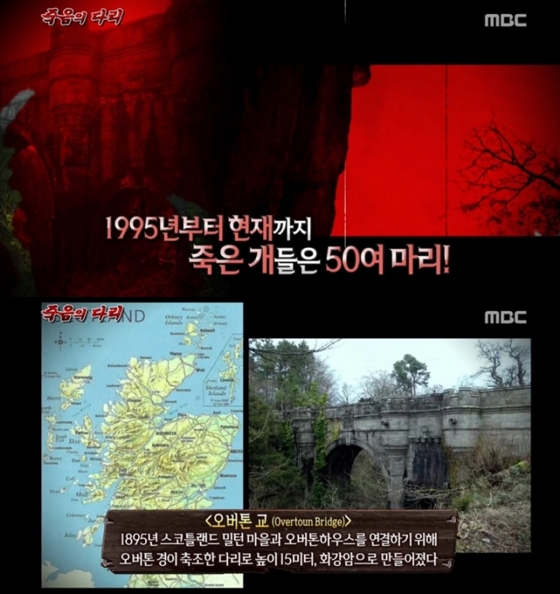 /사진=MBC'서프라이즈' 화면 캡처