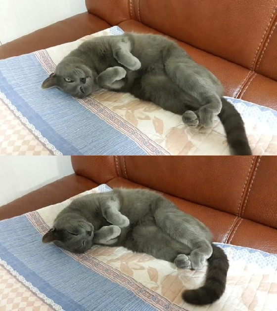 /사진=2PM 황찬성 트위터