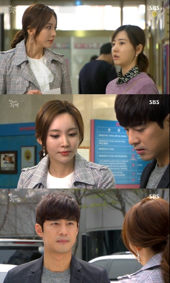 /사진=SBS '달려라 장미' 방송화면 캡쳐