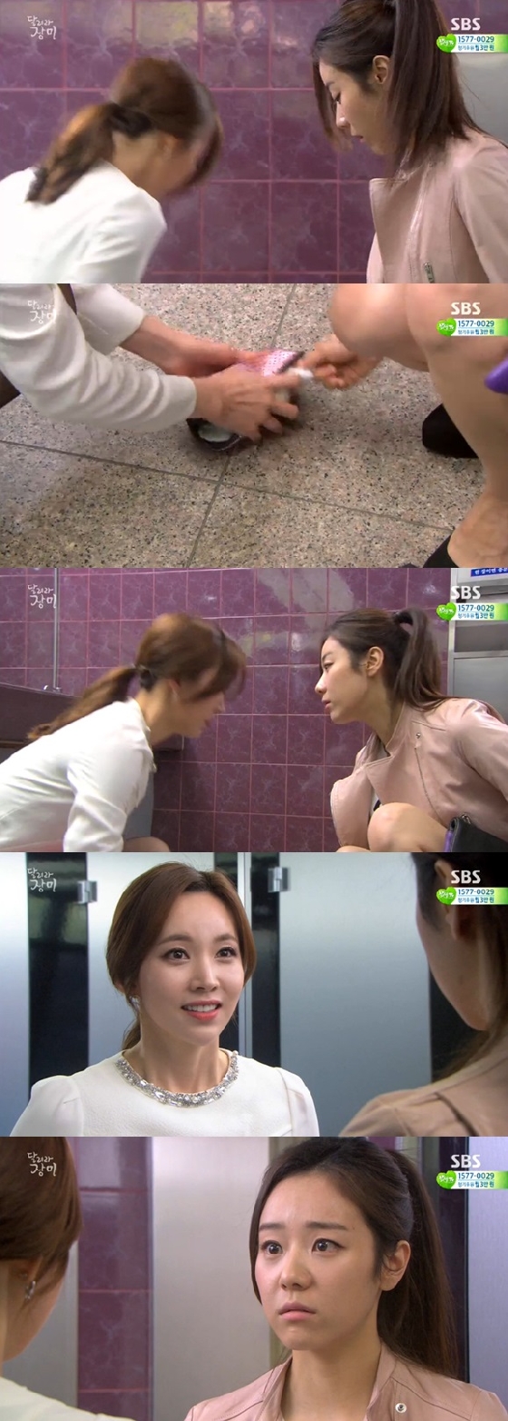 /사진=SBS '달려라 장미' 방송화면 캡쳐