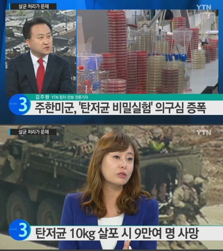 /사진=YTN 뉴스 방송 캡처