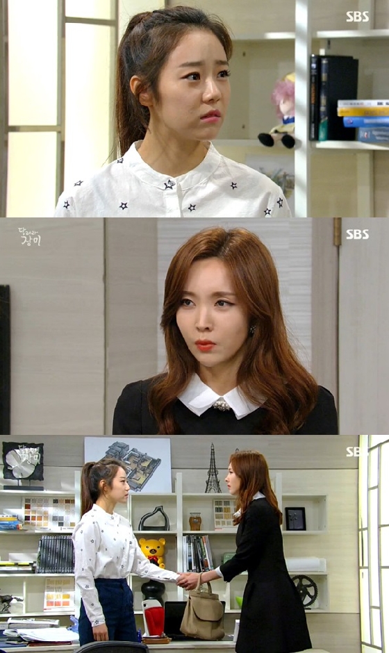 /사진=SBS '달려라 장미' 캡쳐