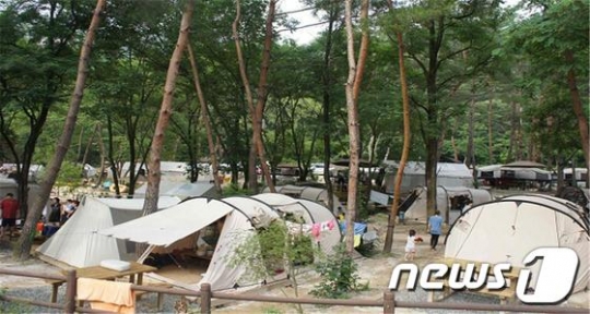 주왕산 국립공원야영장이 예약제로 운영된다. /사진=뉴스1