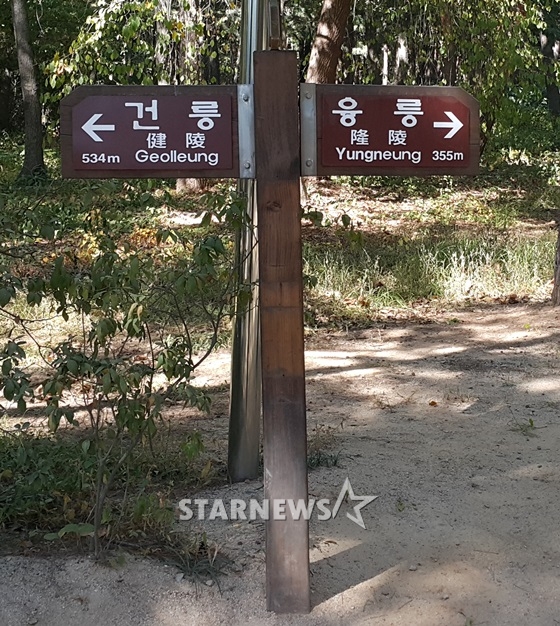 /사진=문완식 기자