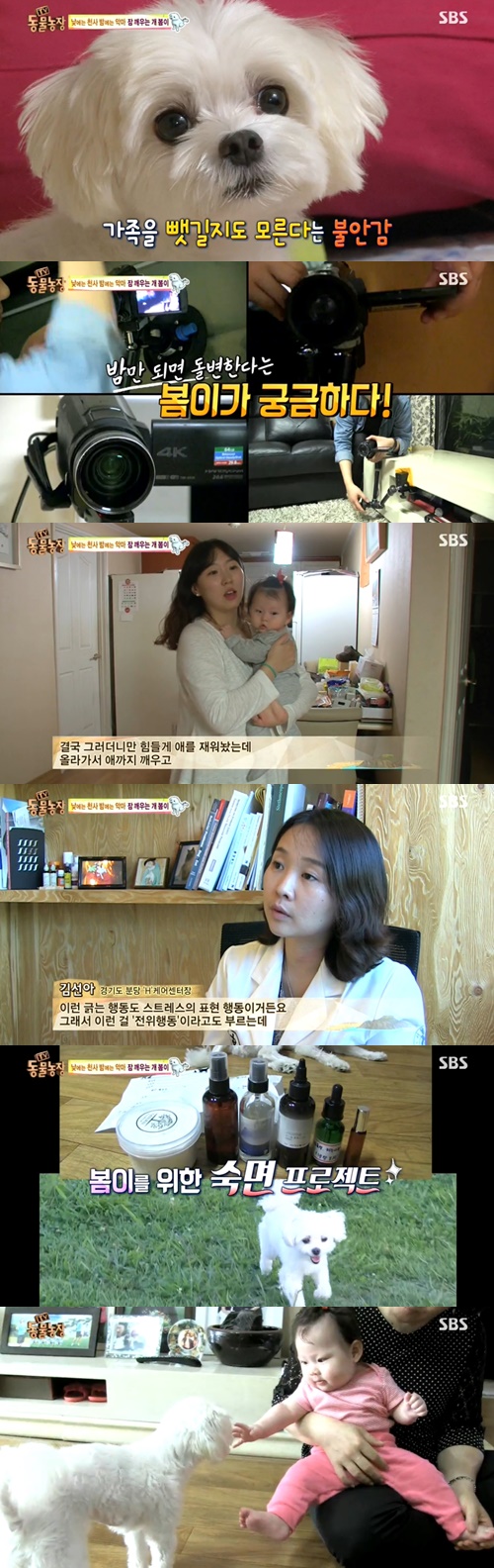 /사진=SBS'TV 동물농장' 영상캡처