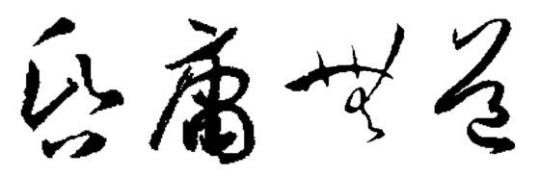 교수들이 선정한 올해의 사자성어 '혼용무도'. /사진=뉴스1(교수신문 제공)