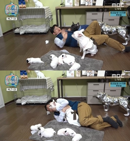 /사진=다음 팟TV '마이 리틀 텔리비전' 방송화면 캡처