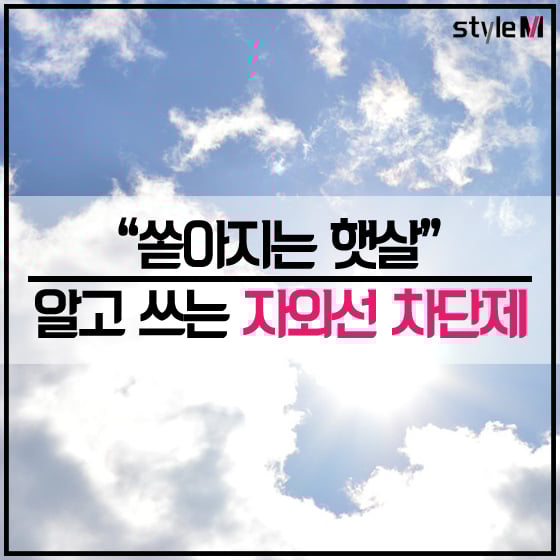 /사진=Pixabay