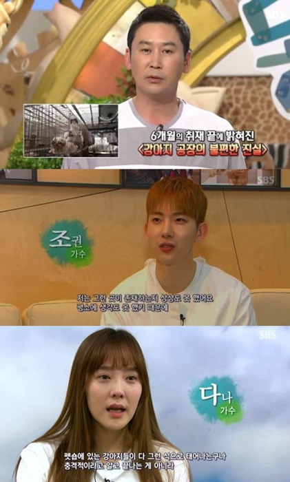 /사진=SBS 'TV 동물농장' 방송화면