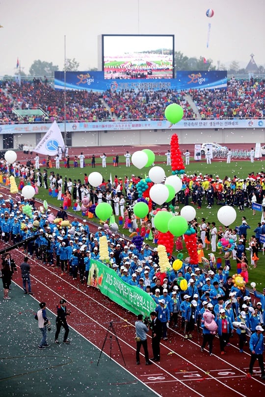 2015년 전국생활체육대축전 개막식 모습. /사진=대한체육회 제공