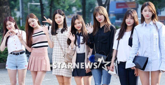소나무 / 사진=김휘선 인턴기자