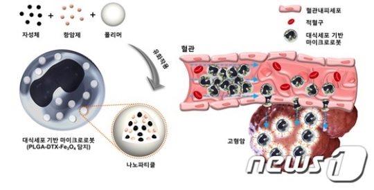 대식세포기반 마이크로로봇./사진=뉴스1