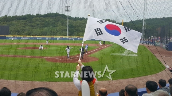 야구장에 휘날리고 있는 태극기