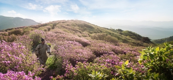 사진