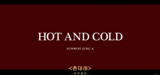 /사진=선우정아 '츤데레' 뮤직비디오 화면캡처