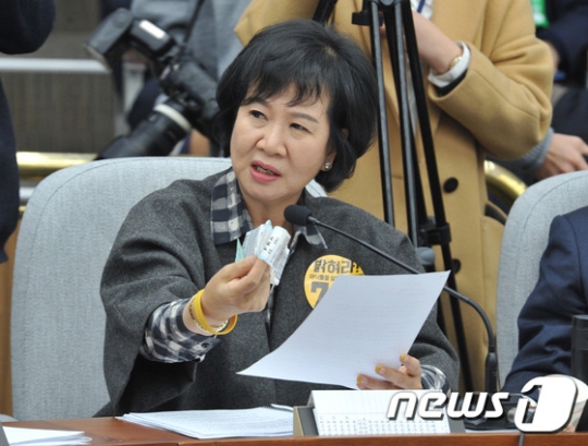손혜원 더불어민주당 의원./사진=뉴스1