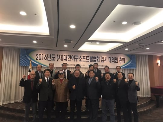 대한야구소프트볼협회가 임시 대의원 총회를 열었다./사진=대한야구협회관리위원회 제공