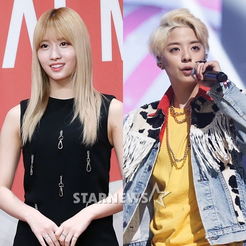 트와이스 멤버 모모(왼쪽), f(x) 멤버 앰버 /사진=스타뉴스