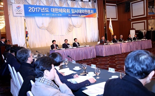 대한체육회 임시대의원총회 모습. /사진=대한체육회 제공