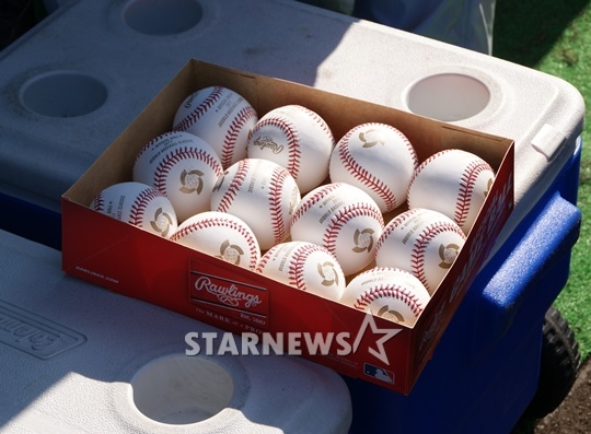 롤링스에서 제조한 WBC 공인구. /사진=김동영 기자