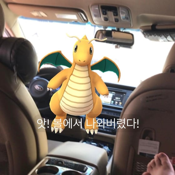 사진
