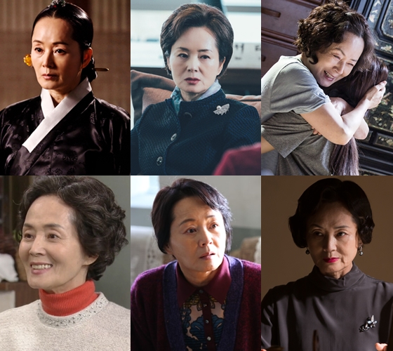 '해를 품은 달', '킬미, 힐미', '닥터스', '특별수사', '변호인', '월계수 양복점 신사들' 출연 당시 김영애/사진제공=MBC, SBS, '특별수사', '변호인' 스틸사진, '월계수 양복점 신사들' 방송화면 캡처