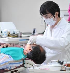 사진