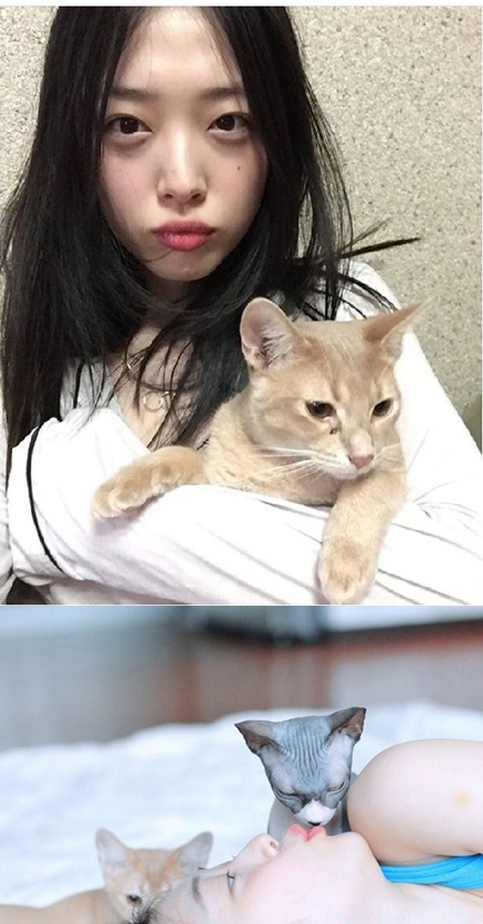 /사진=설리 SNS