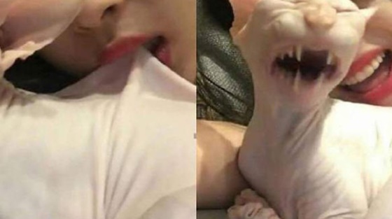 /사진=설리 인스타그램