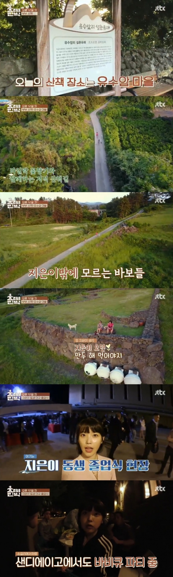 /사진=JTBC '효리네 민박' 방송 화면 캡처