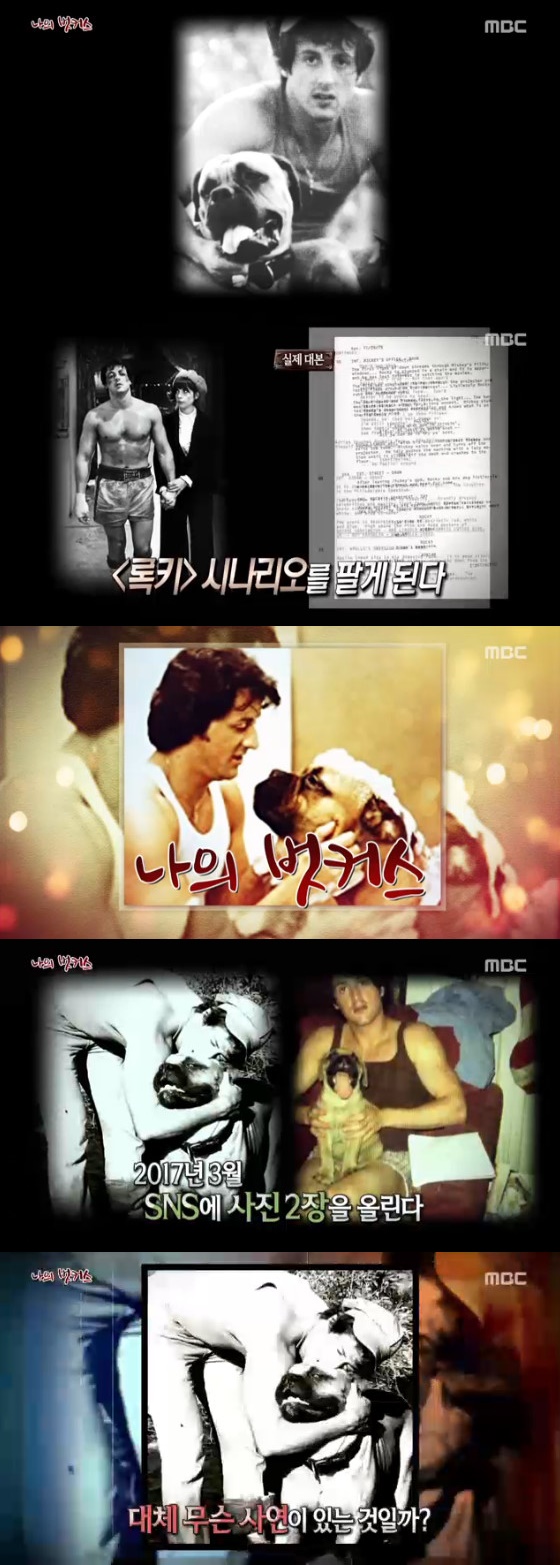 /사진=MBC '신비한 TV 서프라이즈' 방송화면