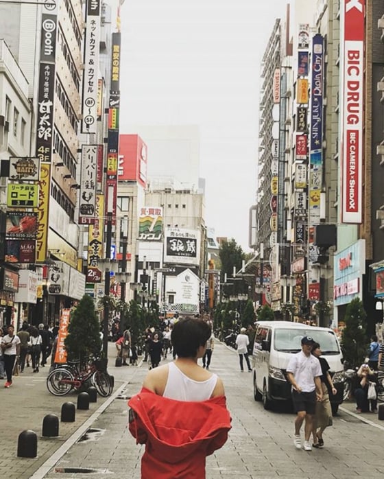 사진