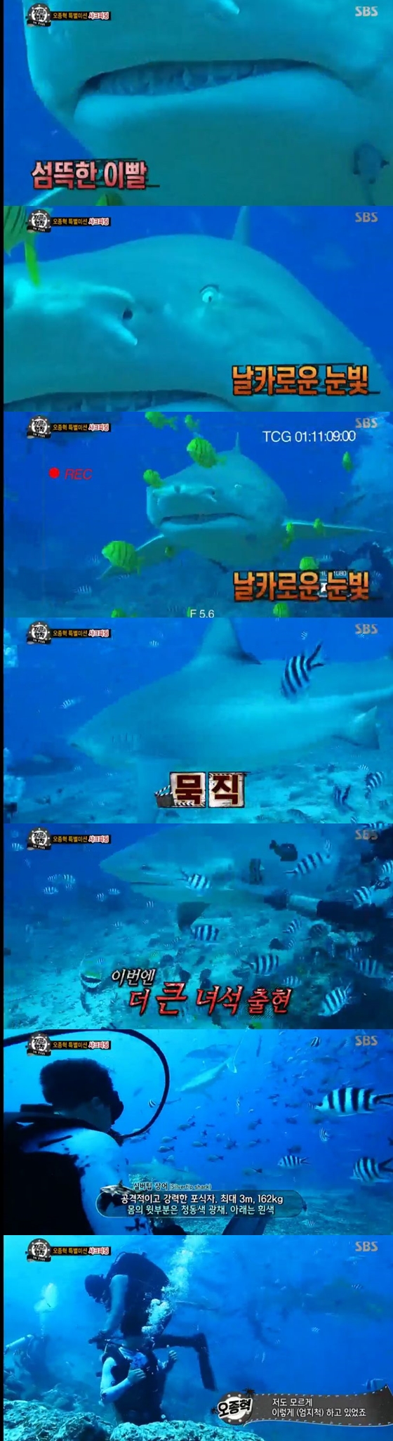 /사진='정글의 법칙' 방송화면 캡처
