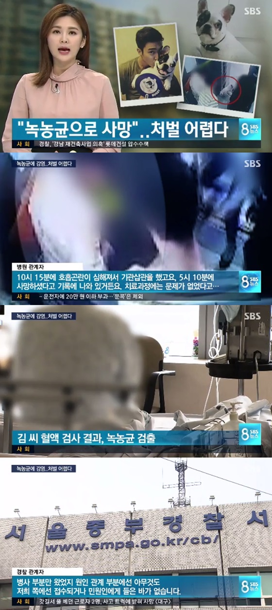 /사진=SBS 뉴스 방송화면 캡처