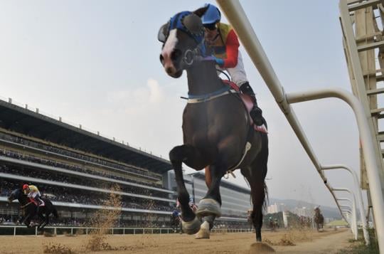 횡운골의 역주/사진제공=한국마사회