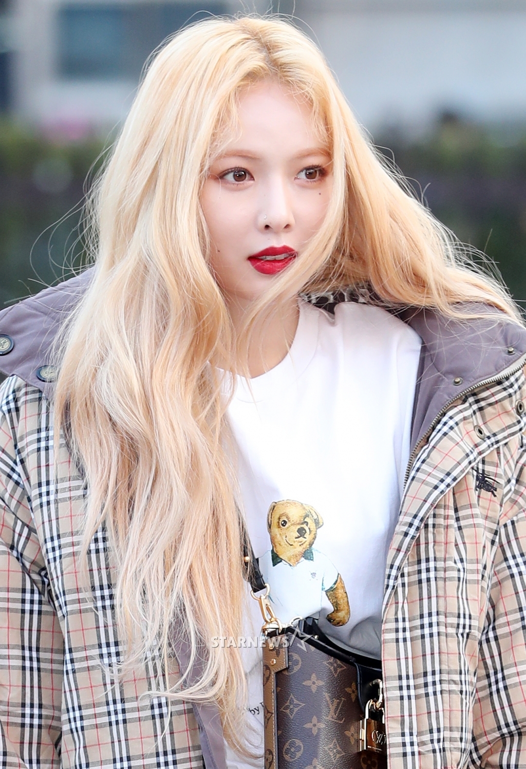 사진