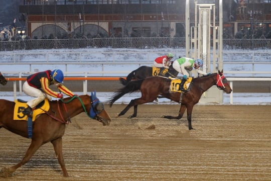 /사진제공=한국마사회
