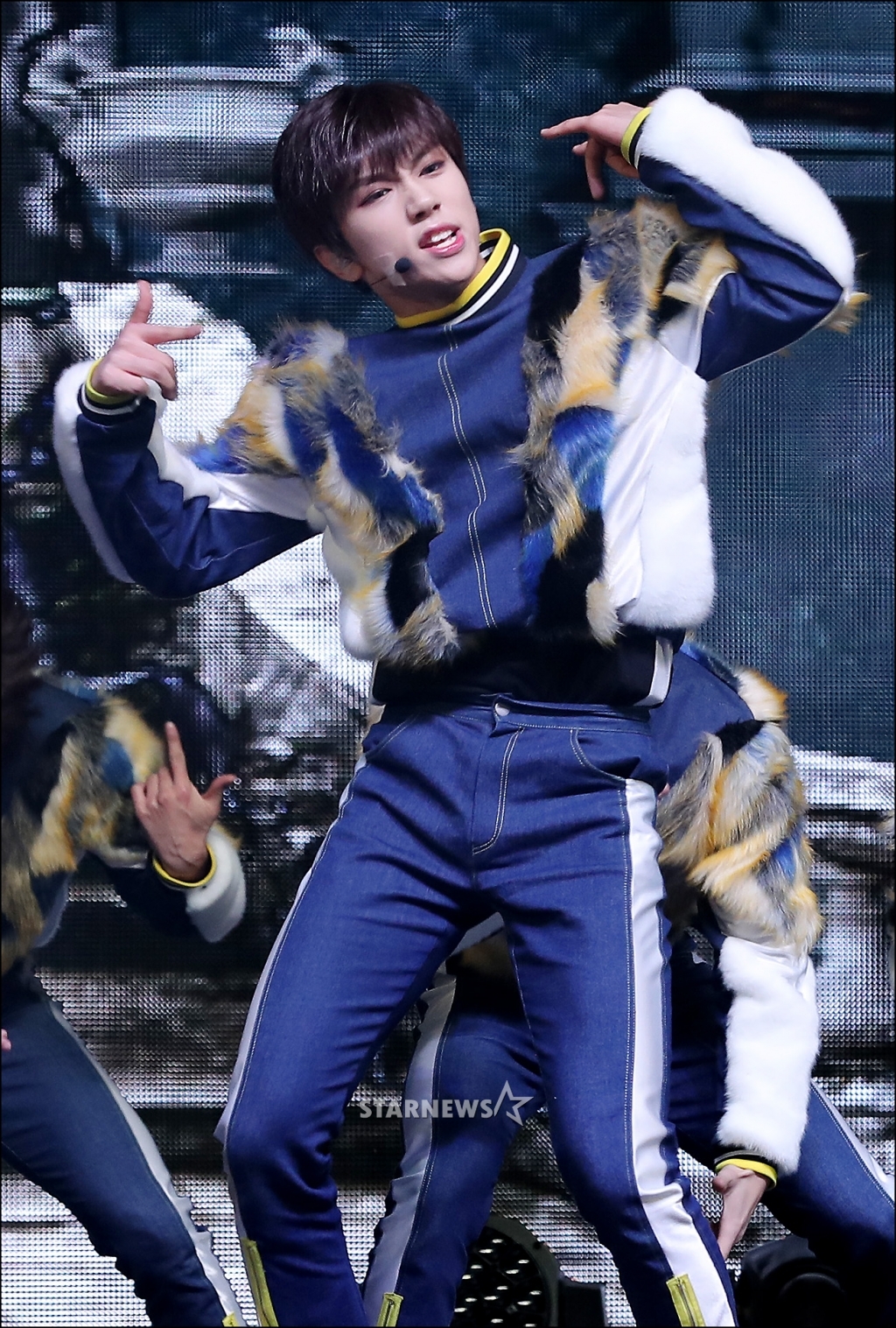 사진