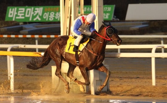 /사진제공=한국마사회