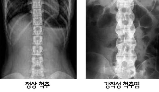 /사진제공=안산에이스병원