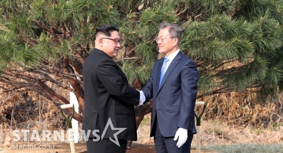 27일 오후 문재인 대통령과 김정은 국무위원장은 함께 남측 군사분계선 인근 ‘소떼 길’에 소나무를 공동 식수 하고 있다. / 사진=한국공동사진기자단