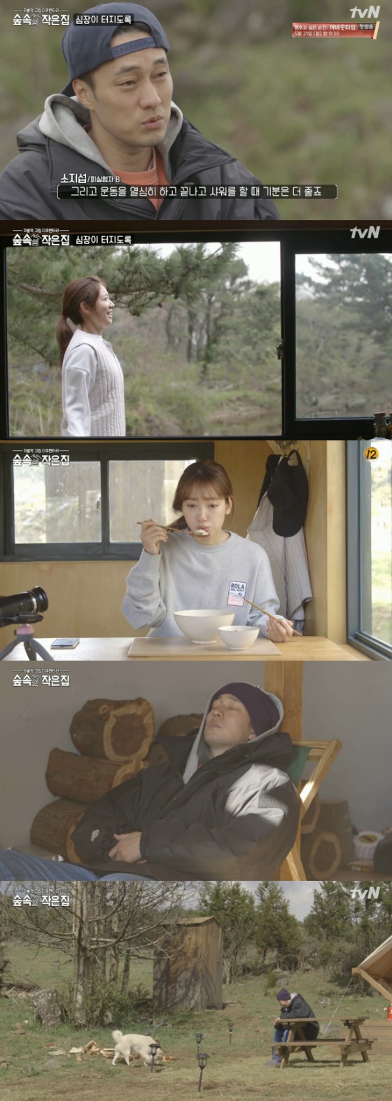 /사진=tvN '숲 속의 작은 집' 방송화면