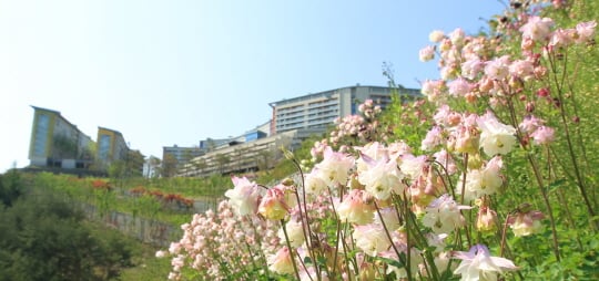 /사진제공=하이원