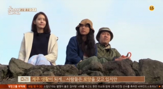 /사진=JTBC '효리네 민박2' 방송화면