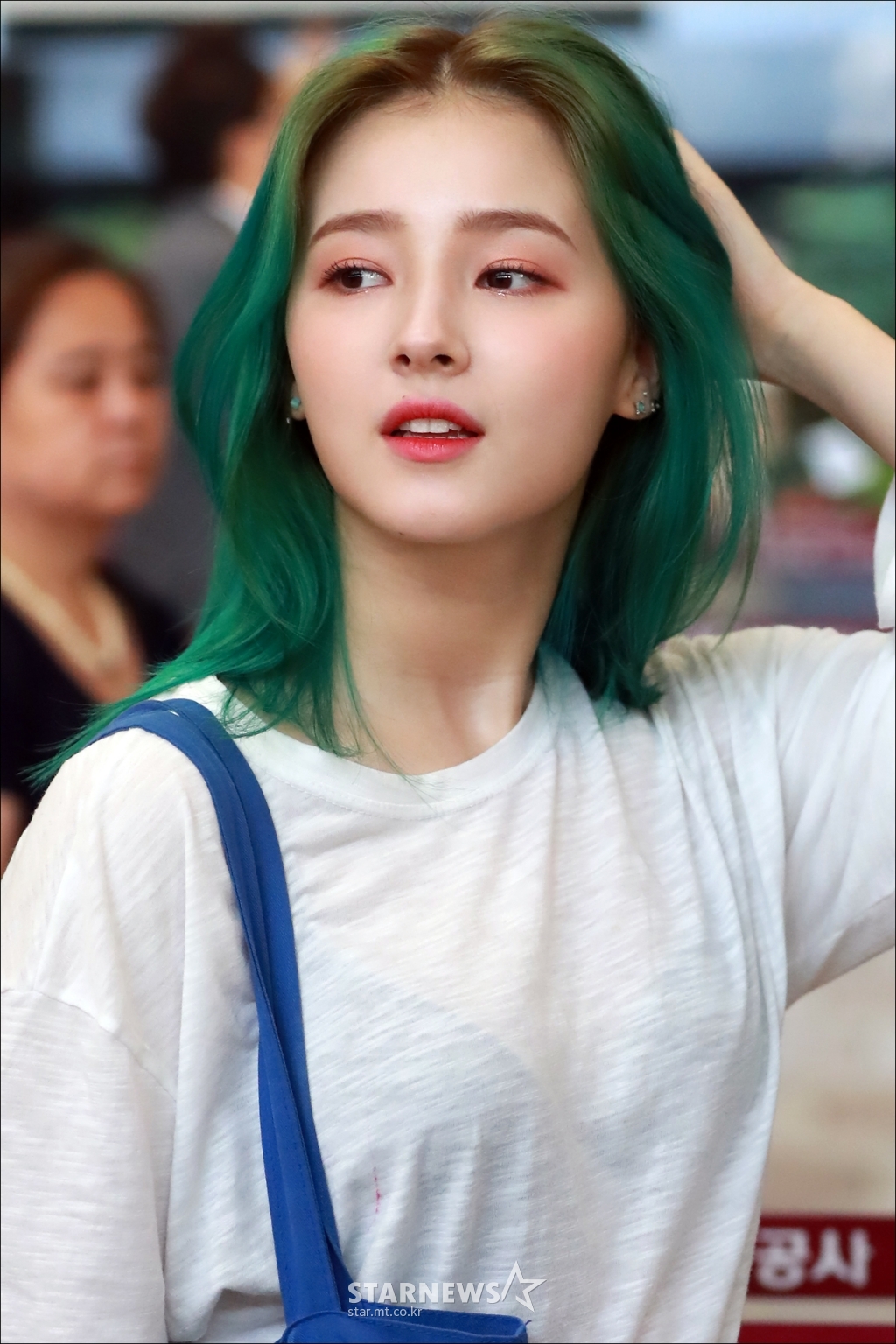 사진