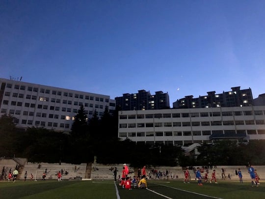 사진