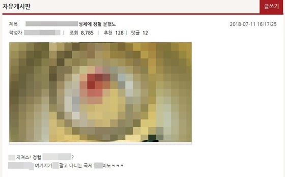 여성 온라인커뮤니티 워마드에는 '성체 훼손' 이후 종교 모독 게시물이 잇따라 올라왔다./사진=워마드 홈페이지 캡처